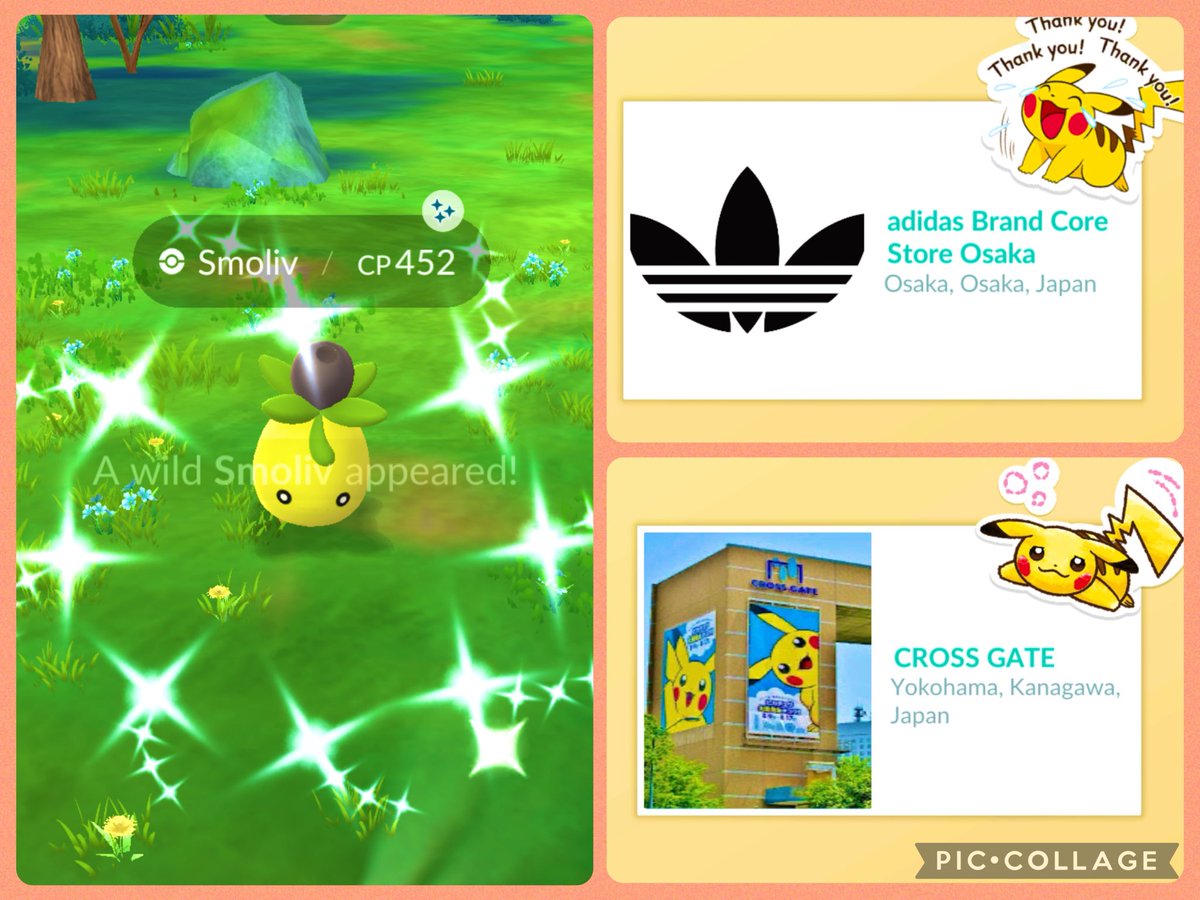 SmileThippy's tweet photo. . ໒ ͚.ིྀ ݂ . ͚১֯݀ 𓂂 Thank you 🎁 
#ShinySmoliv
#Pokemongo🫶🏻🧢 https://t.co/LOZYKmqkyS