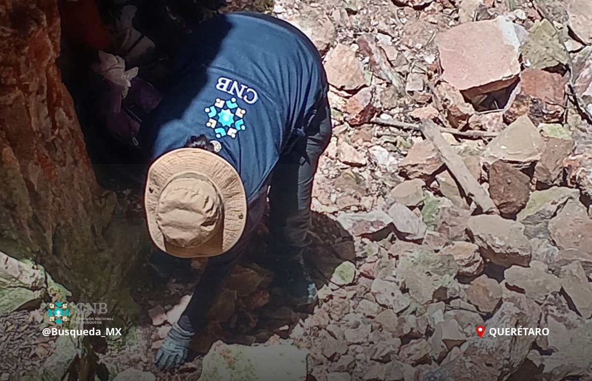 Busqueda_MX's tweet photo. ⚠️ #AccionesDeBúsqueda | #Querétaro | #Nacional

Personal de la Comisión Nacional de @Busqueda_MX realizó trabajos de búsqueda en campo forense en el estado de Querétaro, con la participación de familiares de personas desaparecidas.

Las actividades incluyeron recorridos pedestres, prospección aérea con dron y descensos técnicos en zonas de difícil acceso, en coordinación con la Guardia Nacional, la Comisión de Búsqueda de Personas de Querétaro @ClbpQ y la Secretaría de Seguridad Pública Municipal (SSPM).

Para el @GobiernoMX, la búsqueda forense de personas desaparecidas es una prioridad nacional. Continuamos fortaleciendo estos trabajos con acompañamiento a las familias y enfoque de derechos humanos.

#PersonasDesaparecidas 
#BúsquedaNacional 
#HastaEncontrarles