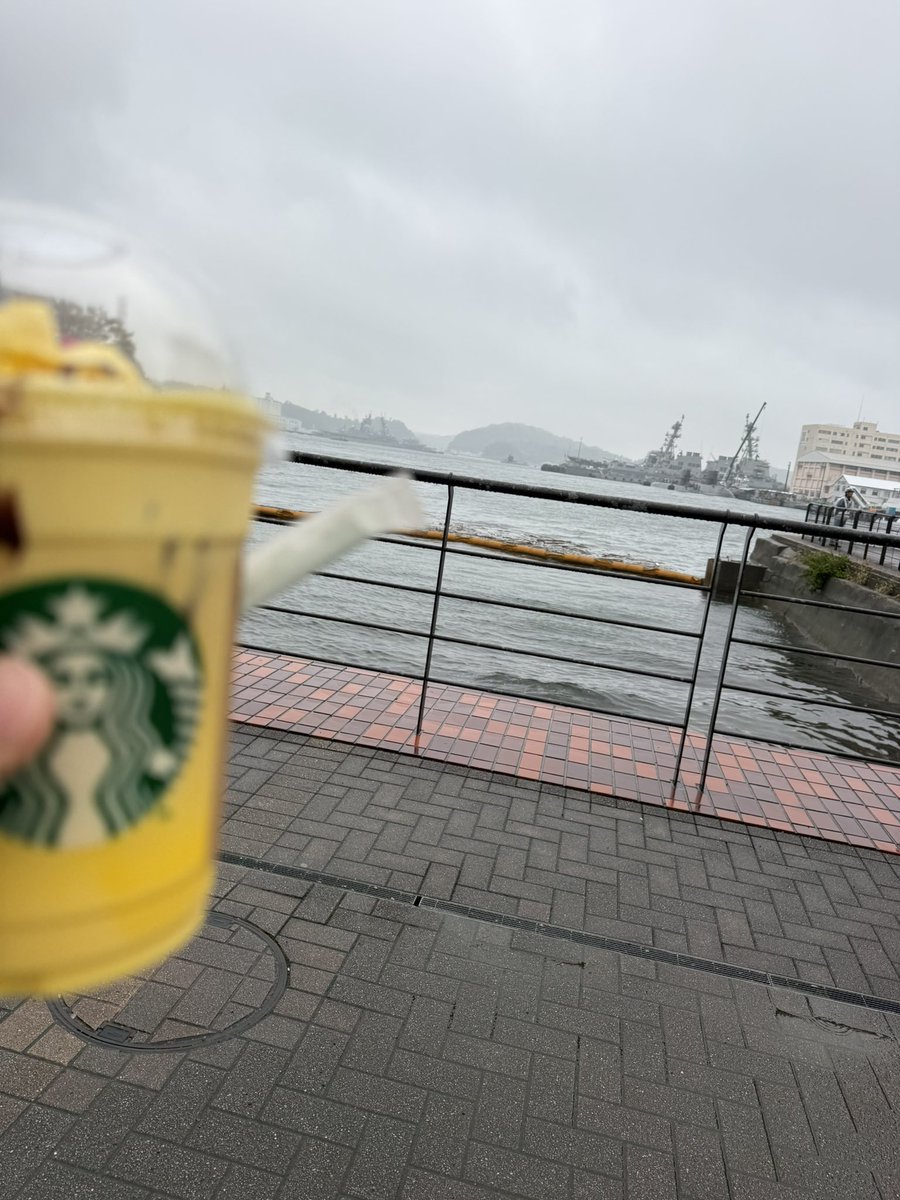 YuiWotayan's tweet photo. ポケモン買えた〜
そして何も見えない…… https://t.co/KlHQvlRD2b