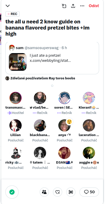 Lillian285Kolva's tweet photo. These racists wont unmute me because Im white https://t.co/R8dnuQEjJ2