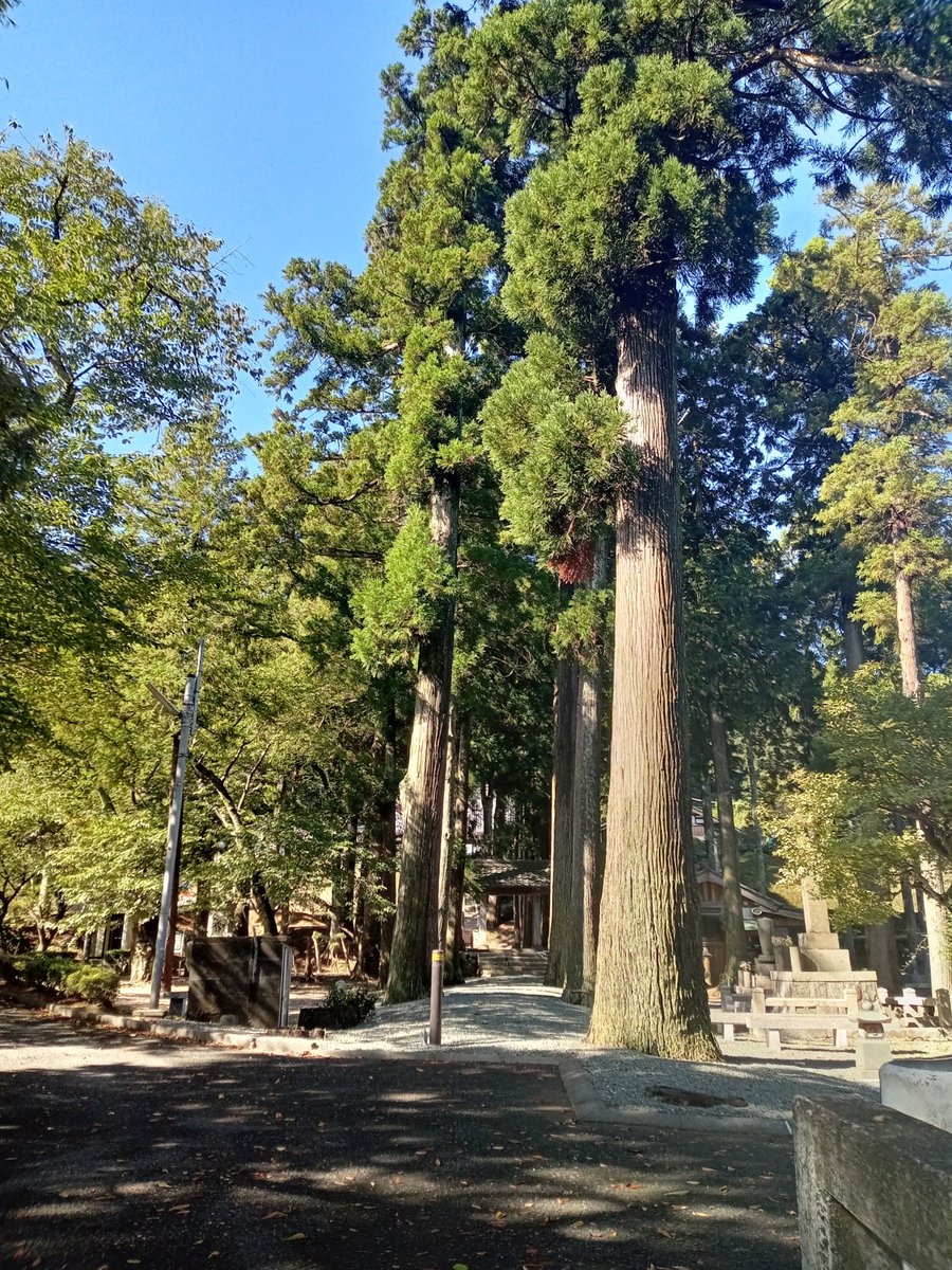 citronterrasse's tweet photo. 通りがかりに惹かれたお寺さん。芳春寺というそうな。 https://t.co/oNreeGsnsm