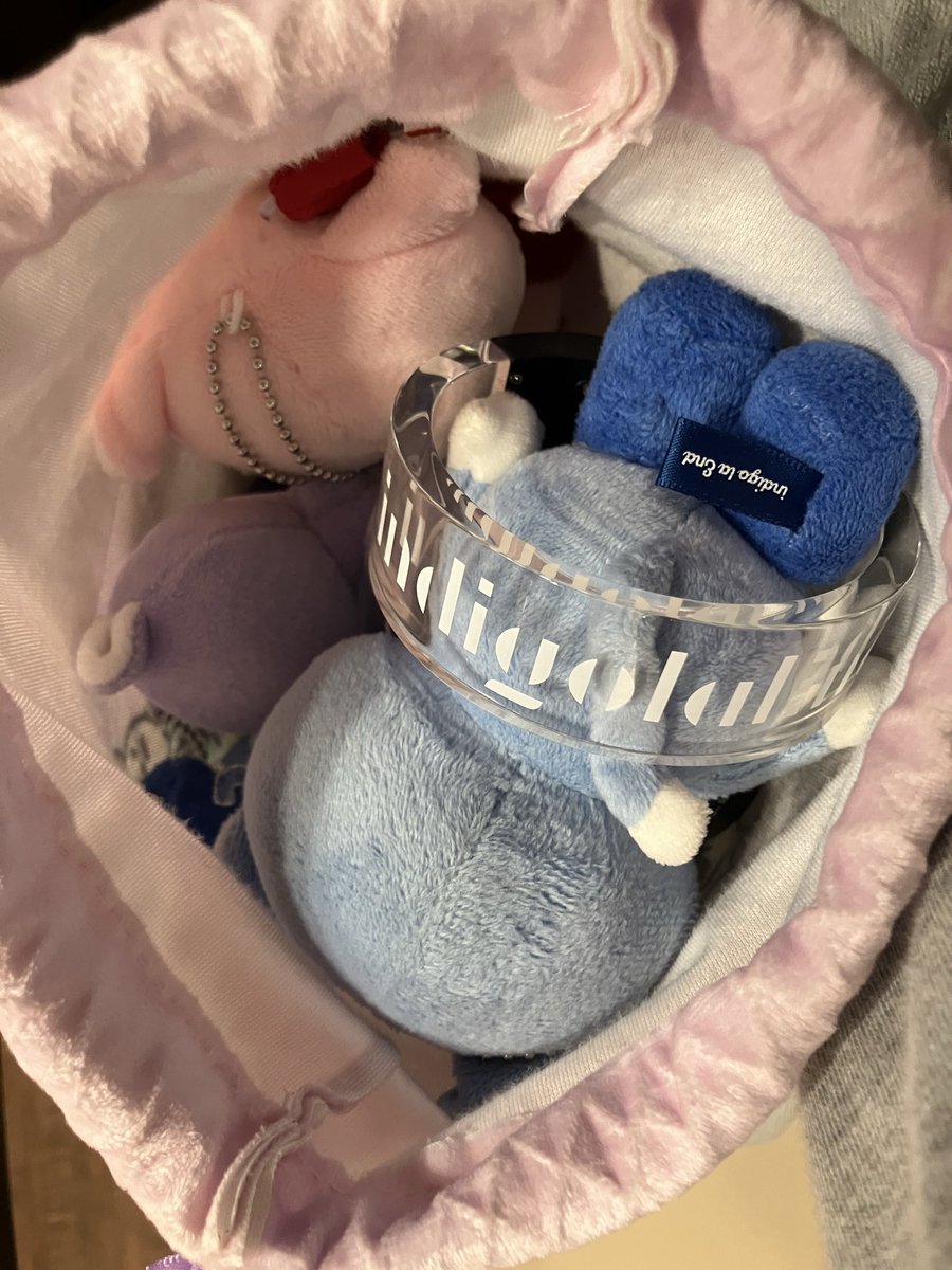 toya_magic_'s tweet photo. 猫まみれにしたモモンガポーチ、あまりにも可愛いが過ぎた😺💓 https://t.co/kXTqlT109h