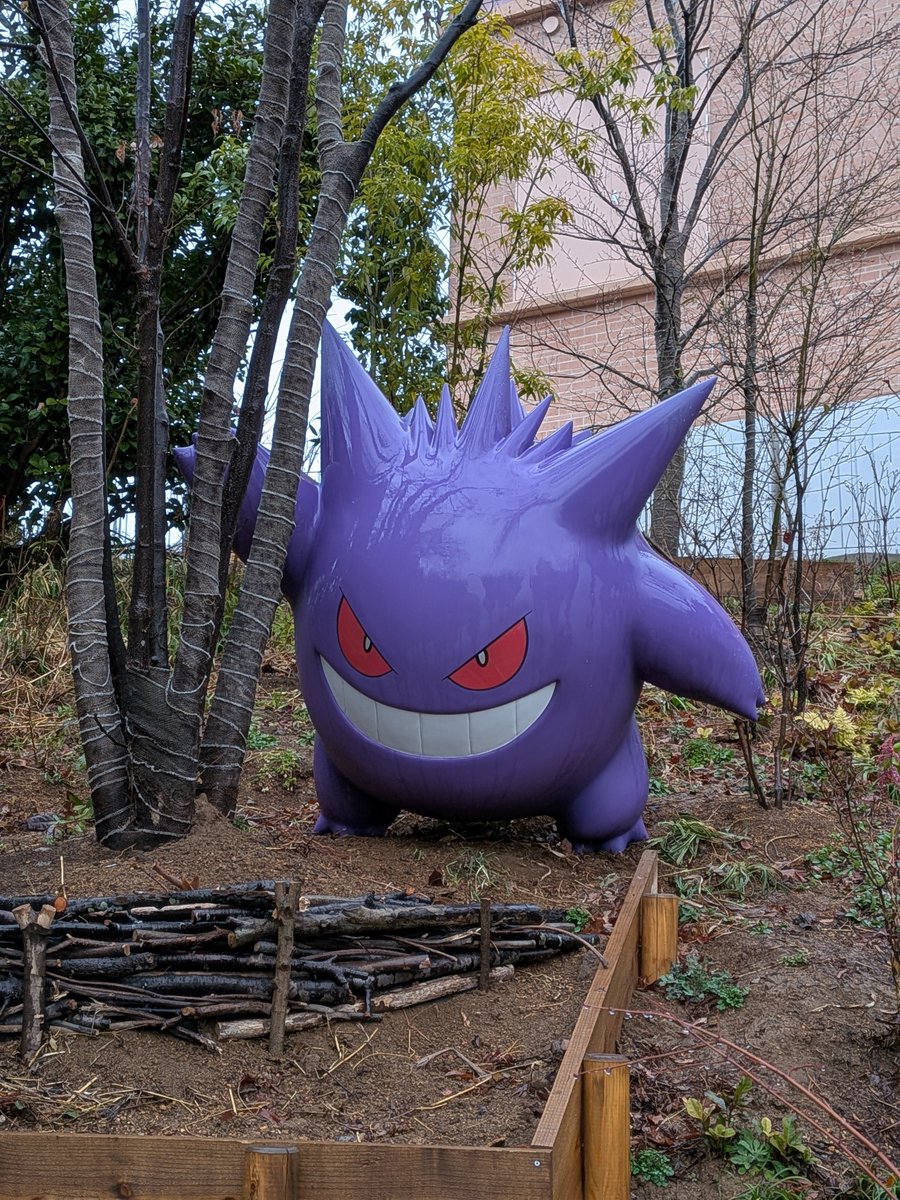 ct3hut's tweet photo. ←2月25日のゲンガー
　　　　　　9月28日のゲンガー→

#ポケパーク https://t.co/luVL1tKevb