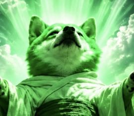 abundanceONSF's tweet photo. Adopt the age of abundance! https://t.co/Qq5D1S3AWV