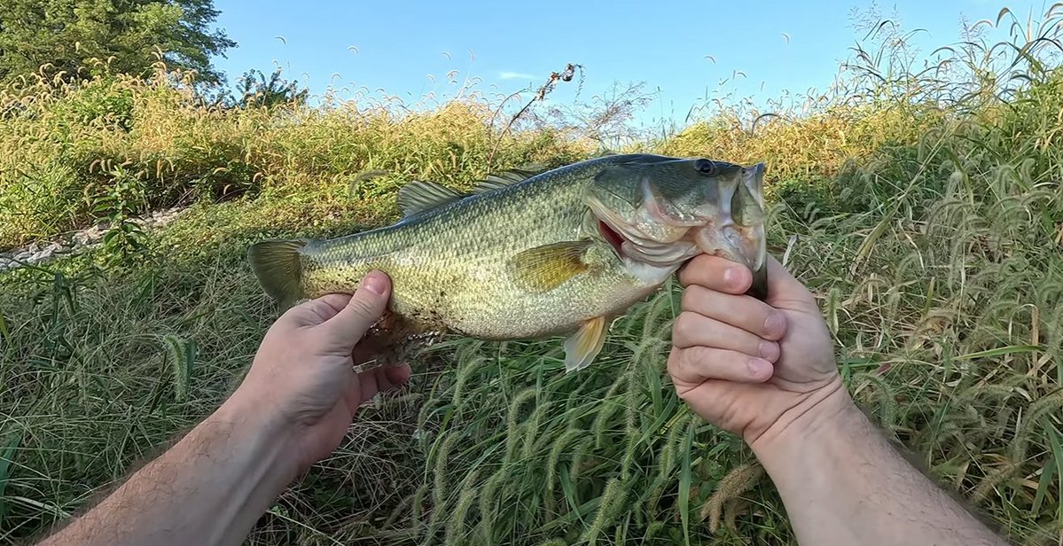 FishingwPaddy's tweet photo. Maybe I should add this lure back into my tacklebox. https://t.co/TrFIV48ZTC 👈 FULL VIDEO https://t.co/GJKE7Quwwb