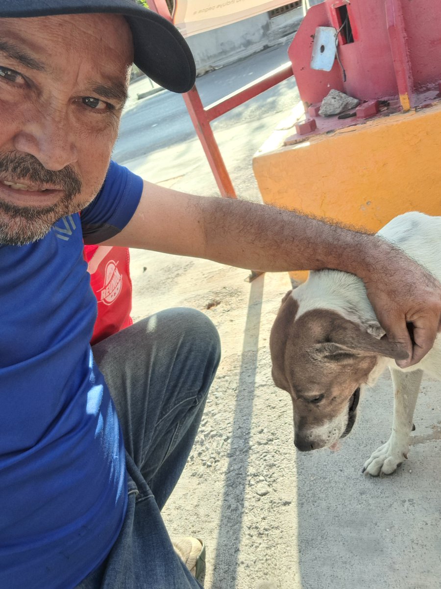 JorgeJaime_1's tweet photo. la perrita se quedo en observación esta noche mañana esperamos tener buenos resultados  muchas gracias ala publicación q llego a mas de mil vistas lamentablemente ninguna aportación yo ahorita ya bien tarde boy para mi casa a  llegar hacer limpieza y sin cenar me voy acostadar https://t.co/Knkr2k8W1r