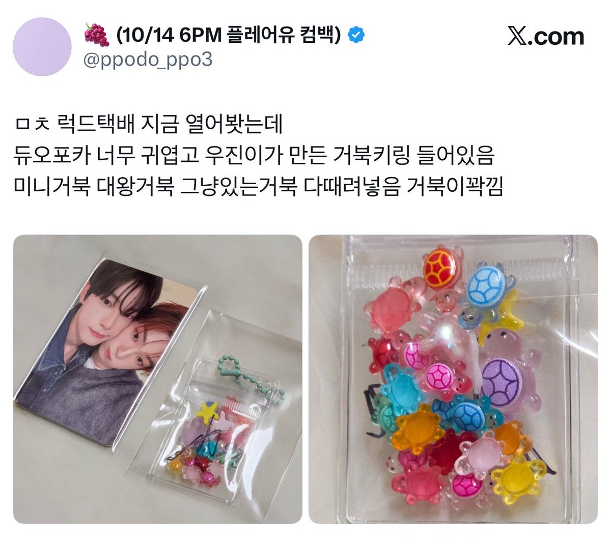 page_liyu's tweet photo. the difference in the amount of lucky turtle charms liyu and woojin stuffed into the keychain 😭😭

🐰aesthetic meaningful mix
🦊as much as the pouch can hold https://t.co/timu7Q4hJJ