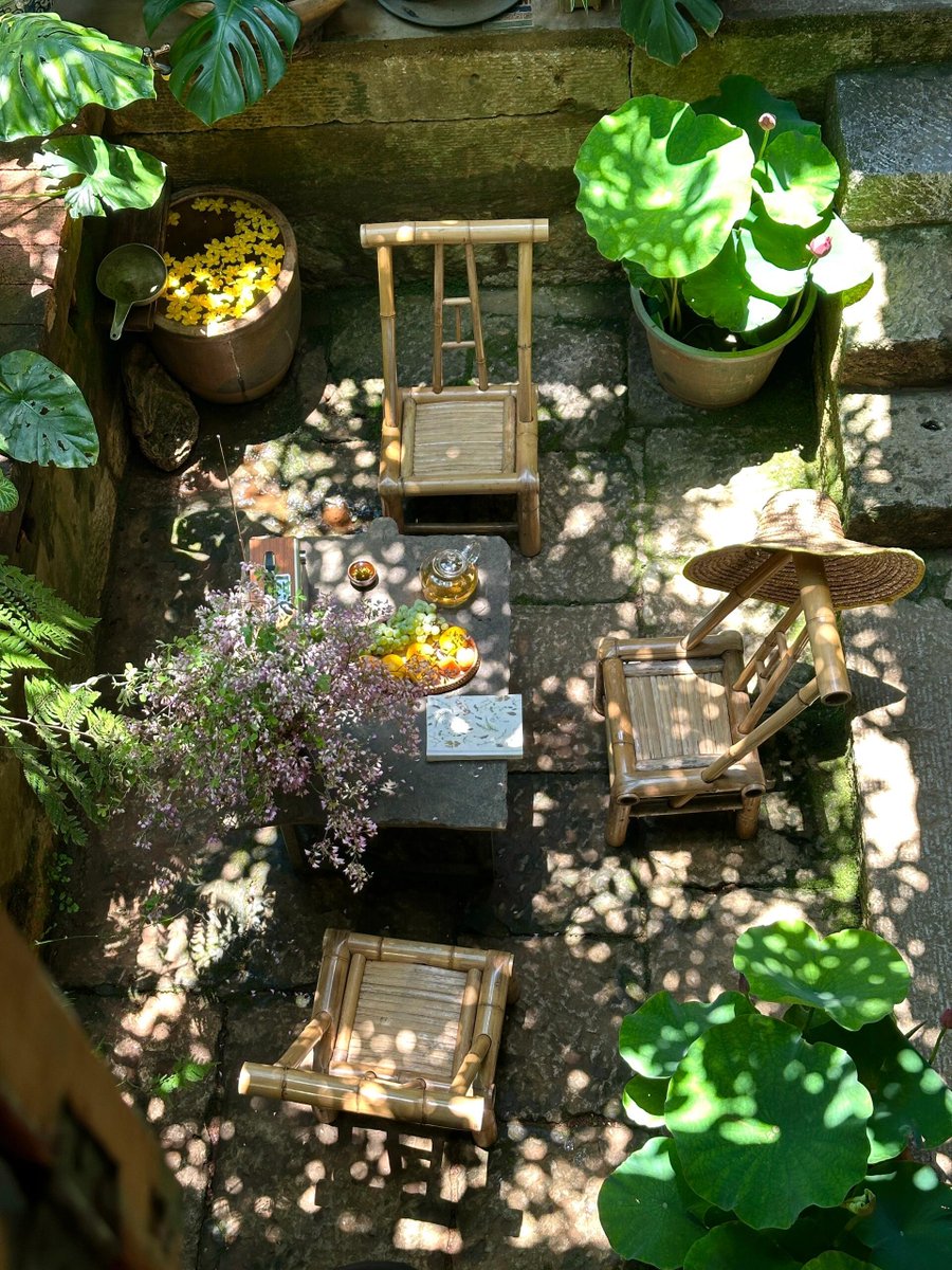 josubin48246916's tweet photo. [Under the shining sun, the breeze stirs the quiet courtyard, and the view before me is so fresh that it makes me feel at peace!] https://t.co/03ILwrTFpO