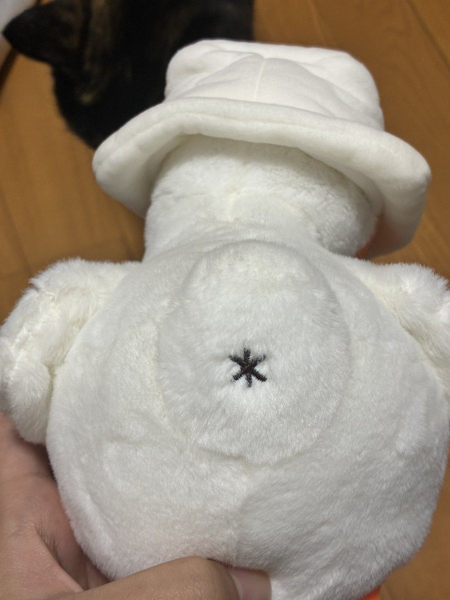 irokuin's tweet photo. 新月同行の隊長のぬいも冷凍が終わったりしました🎶 https://t.co/R2Q1rFUgdD