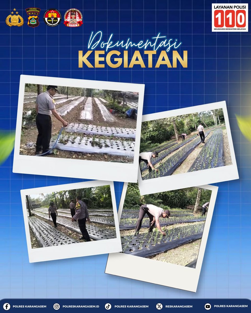 banjarangkan's tweet photo. Wujud nyata dukungan terhadap ketahanan pangan nasional, Kapolsek Bebandem AKP I G.N.B. Suastawan, S.H., M.H. meninjau dan merawat langsung perkembangan tanaman
#KetahananPangan #PolsekBebandem #PolresKarangasem #PoldaBali #PolriDukungKetahananPangan #DesaJungutan #Karangasem https://t.co/d6IGqLyt4Y