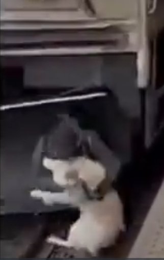 FSlinko's tweet photo. @Davipiano @Spinaaaaa17 use your basic knowledge of physics... he would of been sliced 
... not clipped through the front guard as if it's an Ai video... https://t.co/2e8LRznuES