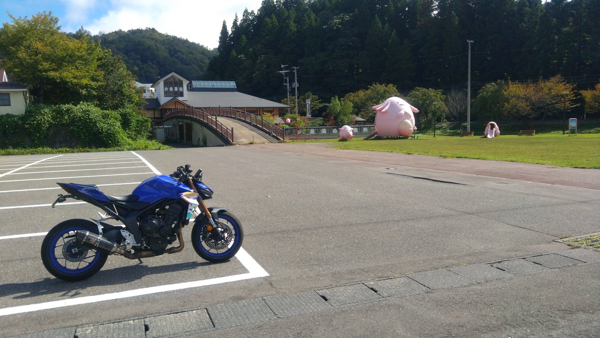 ryu_e26's tweet photo. おはようございます☀ https://t.co/Z8eRhl30DY