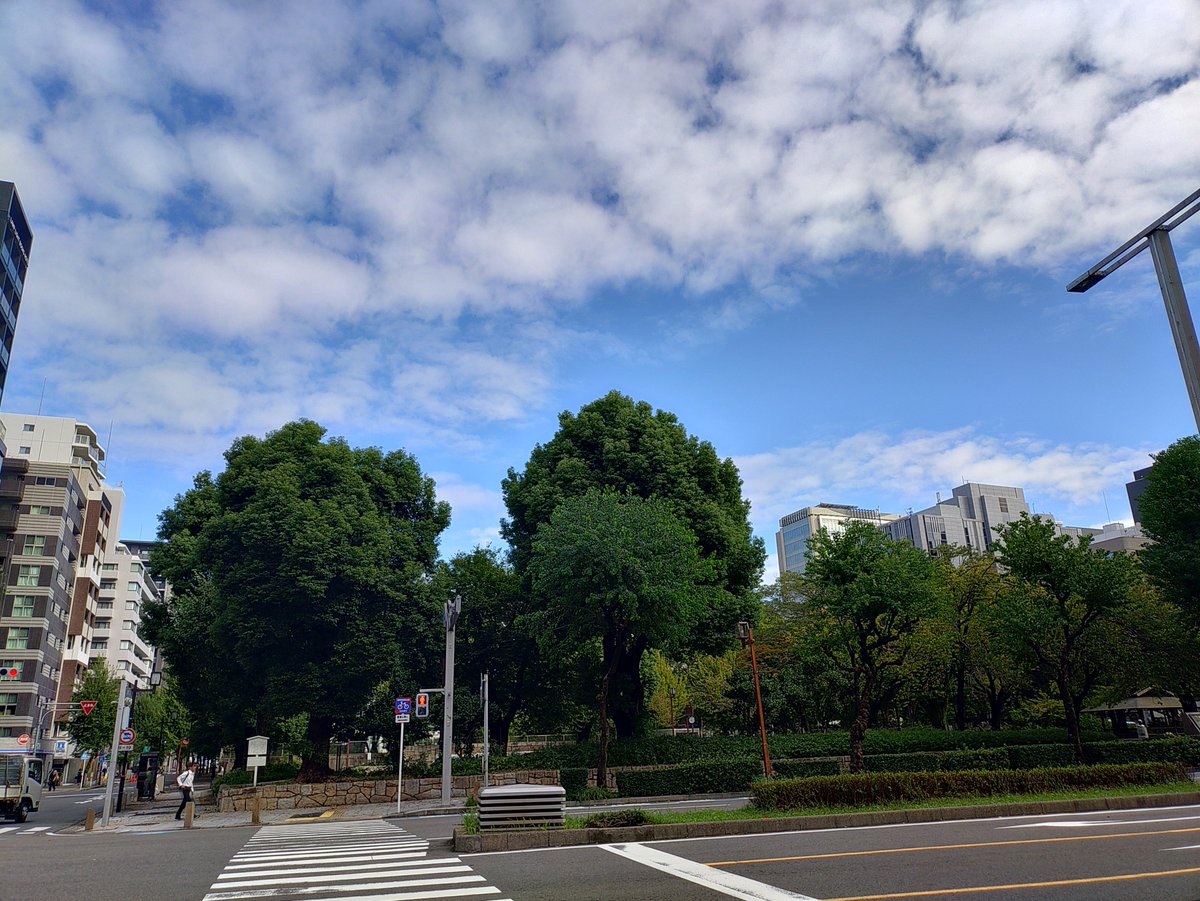 TT217057132's tweet photo. 令和８年9月30日の名古屋市伏見の下園公園です。
空は秋色に染まっていますね。紫外線の量が減って青色が優しくなっています。 https://t.co/dIJIoGkXds