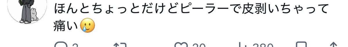 SeikaisouIn's tweet photo. @SINo_papparapa コレもちょっと見掛けたんだけど、Twitterでピーラーなんて使わないから一瞬「ヒーラー」って空目してる https://t.co/NQHgyooPZi