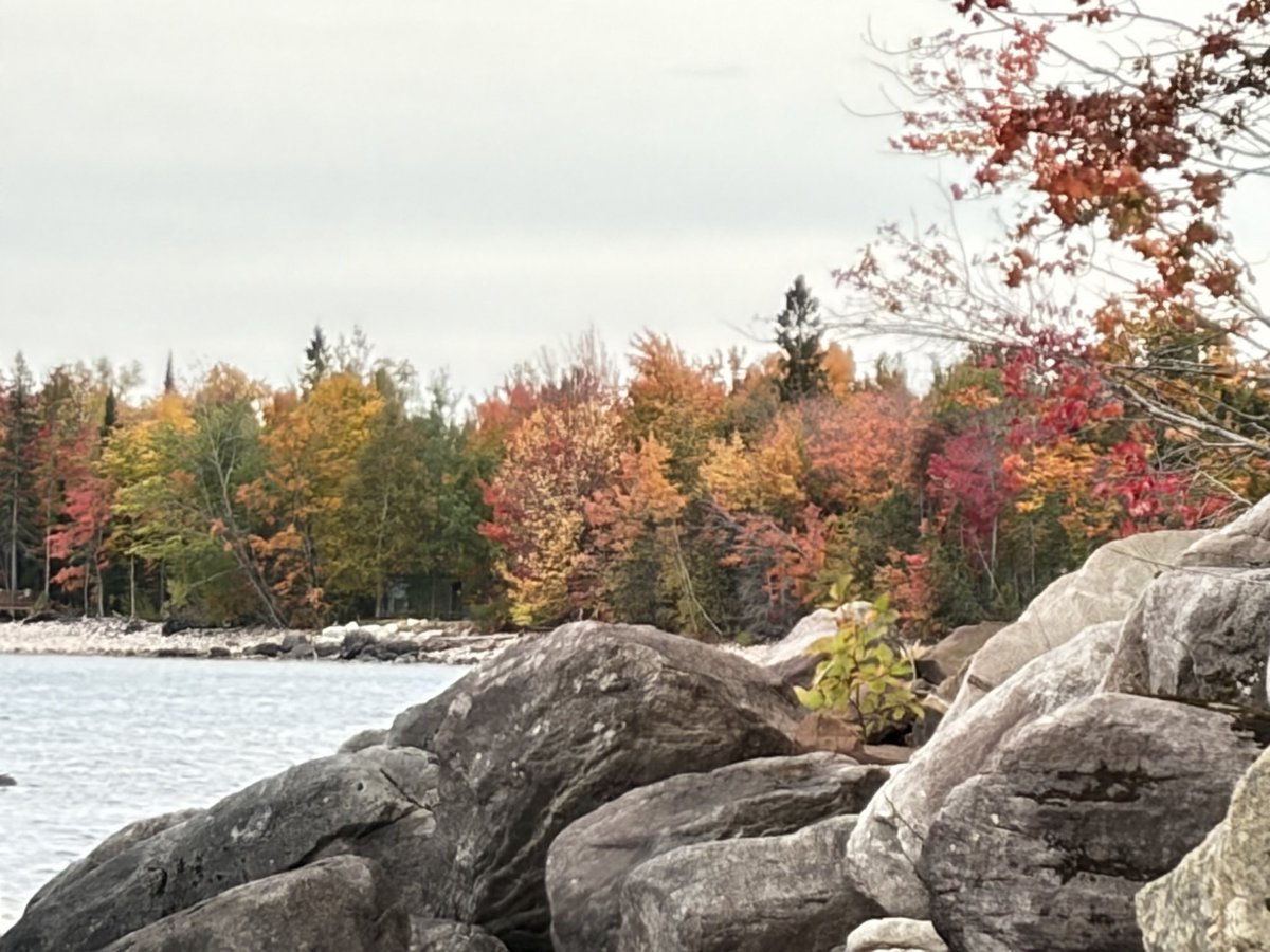 yooperchzhed's tweet photo. Fall in the U.P.  Colors are right about peak. @JenCarfagno @TWCAlexWallace @AMHQ https://t.co/fgaKwIjJRq