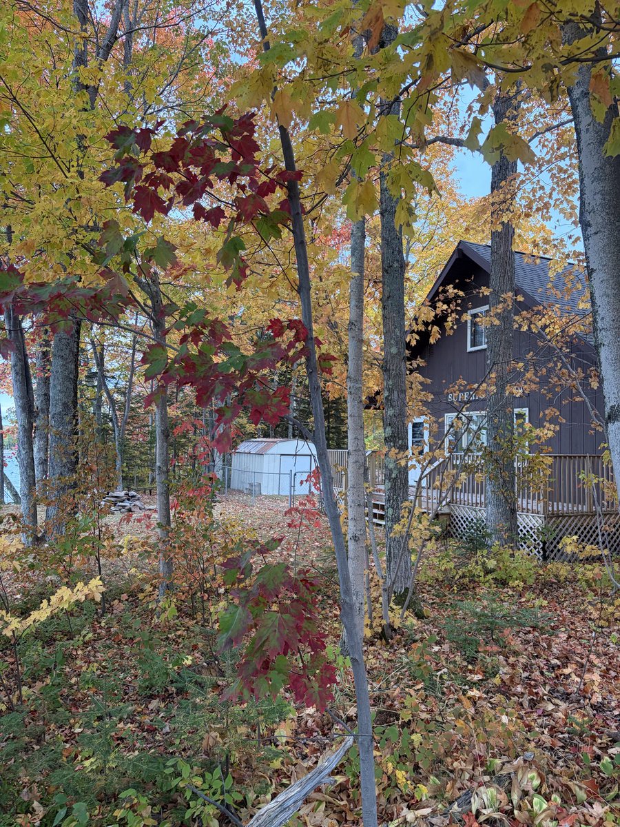 yooperchzhed's tweet photo. Fall in the U.P.  Colors are right about peak. @JenCarfagno @TWCAlexWallace @AMHQ https://t.co/fgaKwIjJRq