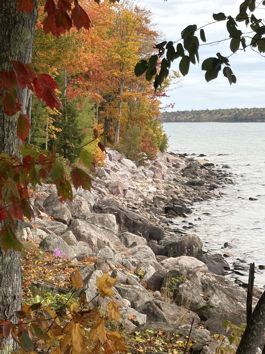 yooperchzhed's tweet photo. Fall in the U.P.  Colors are right about peak. @JenCarfagno @TWCAlexWallace @AMHQ https://t.co/fgaKwIjJRq