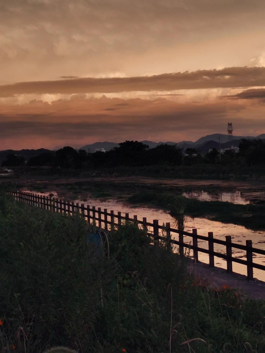 UseongJang46720's tweet photo. When the lamp lights up at dusk by the riverbank, even the dry and stagnant pool seems to hold a quiet, warm story. https://t.co/TANRwXmQj8