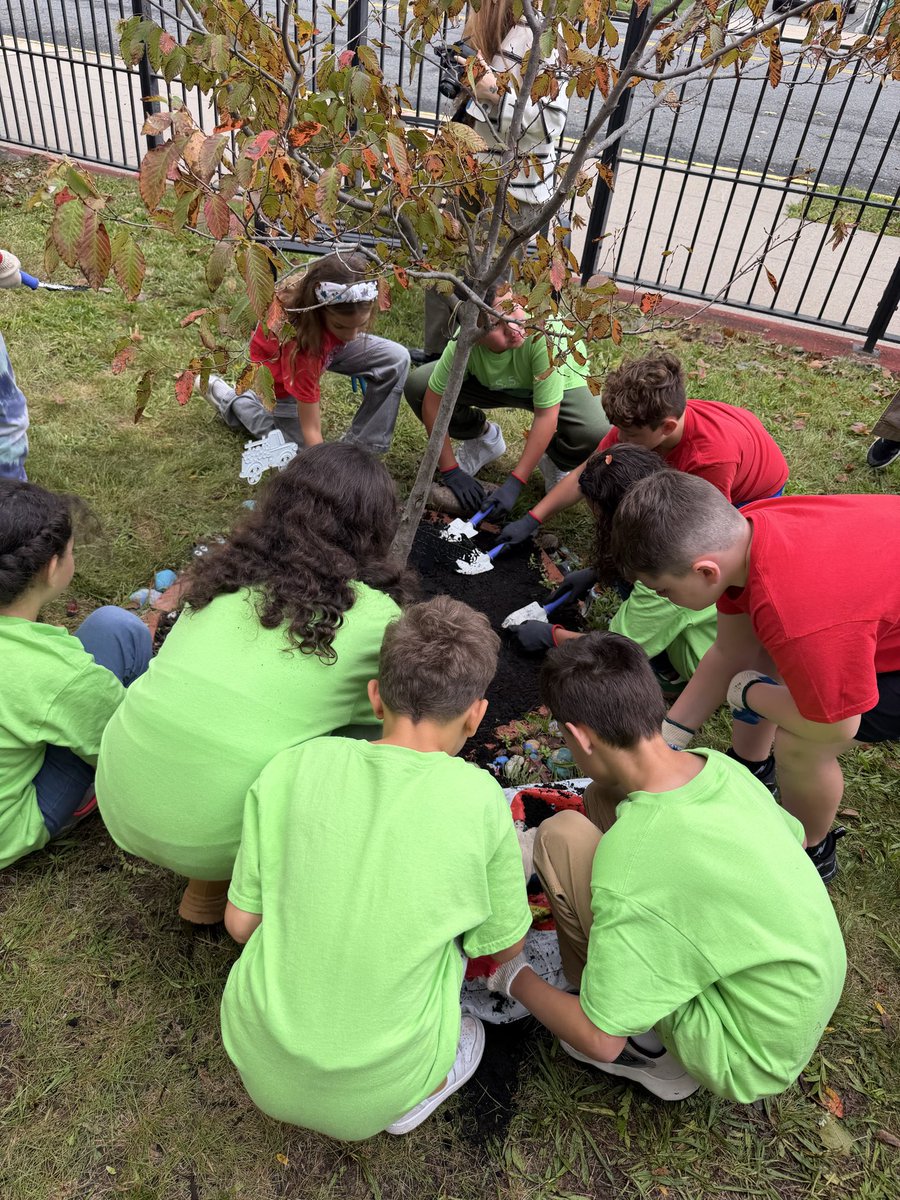 PS55SI's tweet photo. @Franciii500 @NYCSanitation @CSD31SI https://t.co/ZRXnPeIQp6