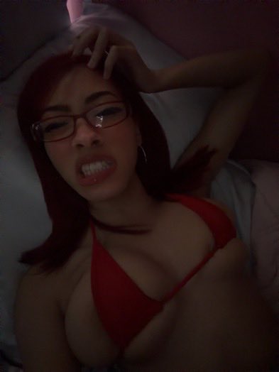 HavenBop's tweet photo. #bop #gooner #tits https://t.co/YejAw6e8qC