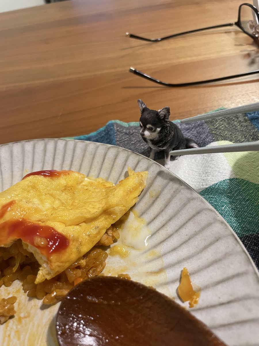 Junkforlove's tweet photo. 我が家のわんこを3dフィギュアに

パッと写真送るだけでモデリングしてくれる
再現度めちゃ高いし、子供の人形遊びに使える🐶
#ちょこんとフィギュア https://t.co/7UYl7BZSQA