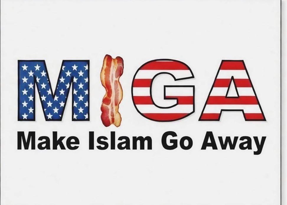 f_carten's tweet photo. @0ivankaTrump1 Hell not Muslims in a satanic demon server https://t.co/L5Onagef62