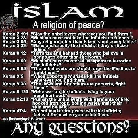f_carten's tweet photo. @0ivankaTrump1 Hell not Muslims in a satanic demon server https://t.co/L5Onagef62