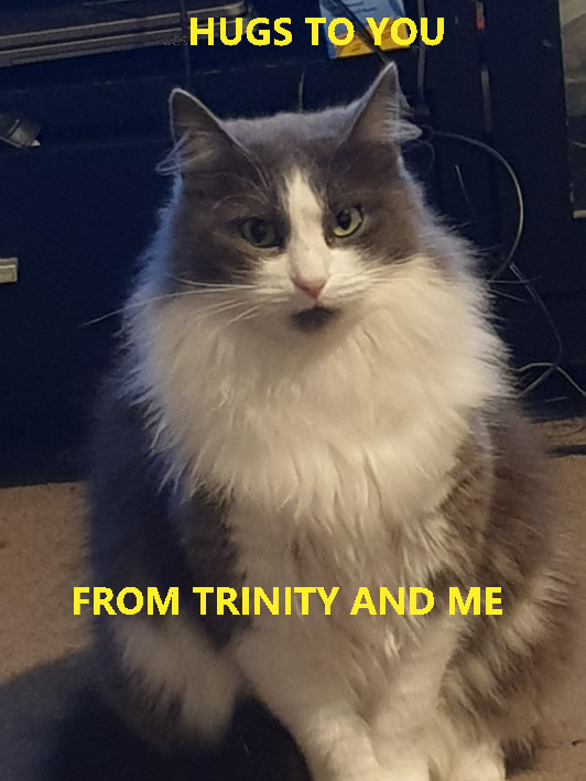 TrinityTab1's tweet photo. @OlgaPatl https://t.co/mnOQLgXiTV