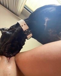 Cupcake_1aoz's tweet photo. Ready to bring your fantasies to life? I’m crafting exclusive, personalized zoo content made just for you. Tap the link below let’s play. 😉✨⏬

https://t.co/eVX3agzJya https://t.co/1jQEltVvdP
