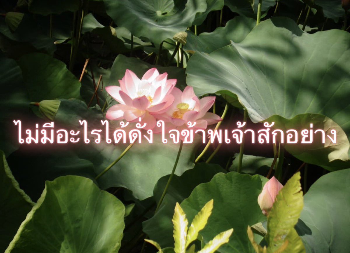 Iaunza's tweet photo. https://t.co/hYACKpPqYH