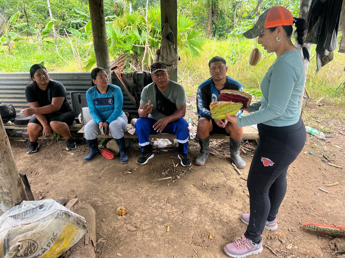 Agricultura_CZ2's tweet photo. ¡El conocimiento impulsa nuevas oportunidades para los jóvenes de #Napo!

En la comunidad Wayusaloma de Tena, iniciamos la capacitación en manejo del cultivo de cacao para brigadistas de Joven Rural del MDEP y AgroJoven Cacao de FAO. https://t.co/tI6siOEZlH