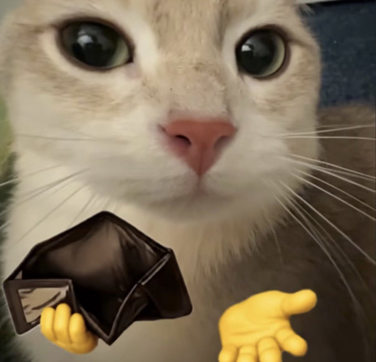 twaniimals's tweet photo. https://t.co/NistHYWqSZ