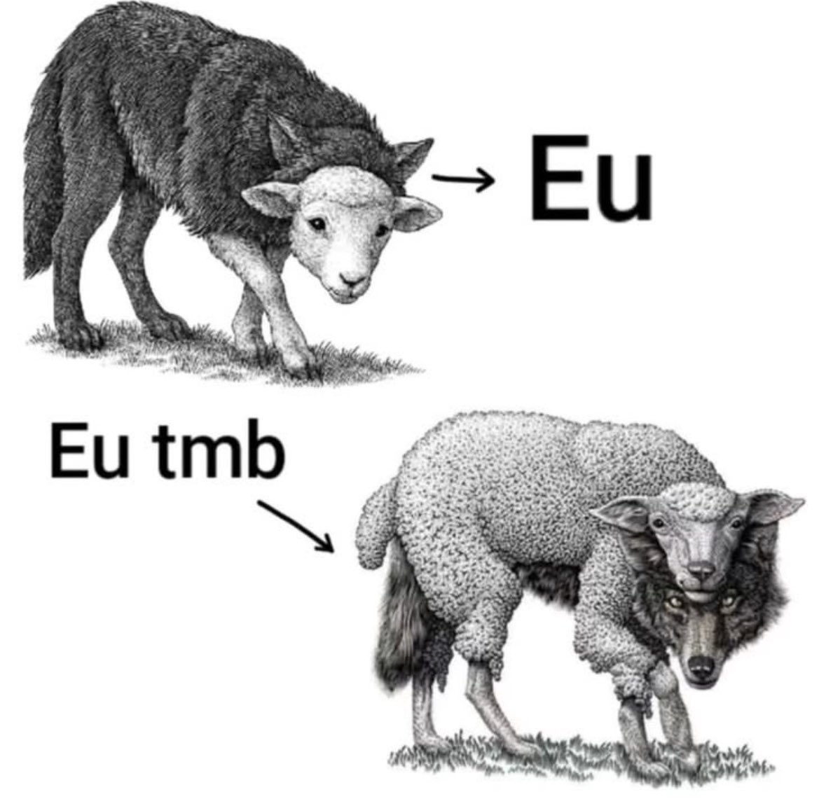 xheleninha's tweet photo. . https://t.co/qpBAgYjP28