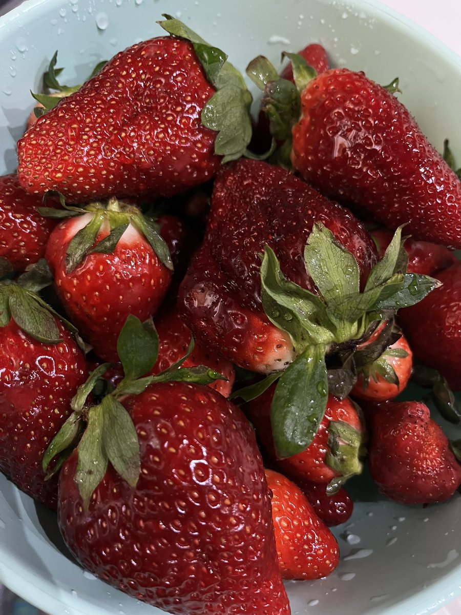 mdl_maru's tweet photo. La mejor época del año 🍓 https://t.co/b0qOaRv8z8
