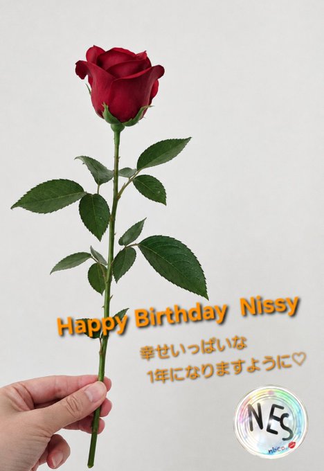 A hand holding a single red rose against a gray background, with orange text reading 'Happy Birthday Nissy' and Japanese text wishing for a wonderful year, alongside an 'NES' logo.