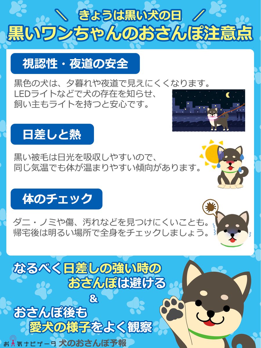 osanpo_inu's tweet photo. 🐕‍🦺 きょうは「黒犬の日」🐕‍🦺

黒い毛のワンちゃんは、
これから日暮れが早くなる時期の
夕方〜夜のおさんぽは要注意⚠️

暗い場所では周囲から見えにくく、
車や自転車などとの接触にも注意が必要です🚗🚲
また、黒い毛は日射の熱を吸収しやすいため、
火傷や熱中症にも気をつけましょう☀️⚠️

おさんぽの際は日差しの強さにも気を配り、
帰宅後は愛犬の様子をよく確認してくださいね🐾

🐶犬のおさんぽ予報
https://t.co/pBncPXi3jl