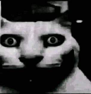 bnnuyafton's tweet photo. @bmoura_0 eu aos 18 anos quando escuto a palavra "bhaskara" https://t.co/0RqhWnYZ0w