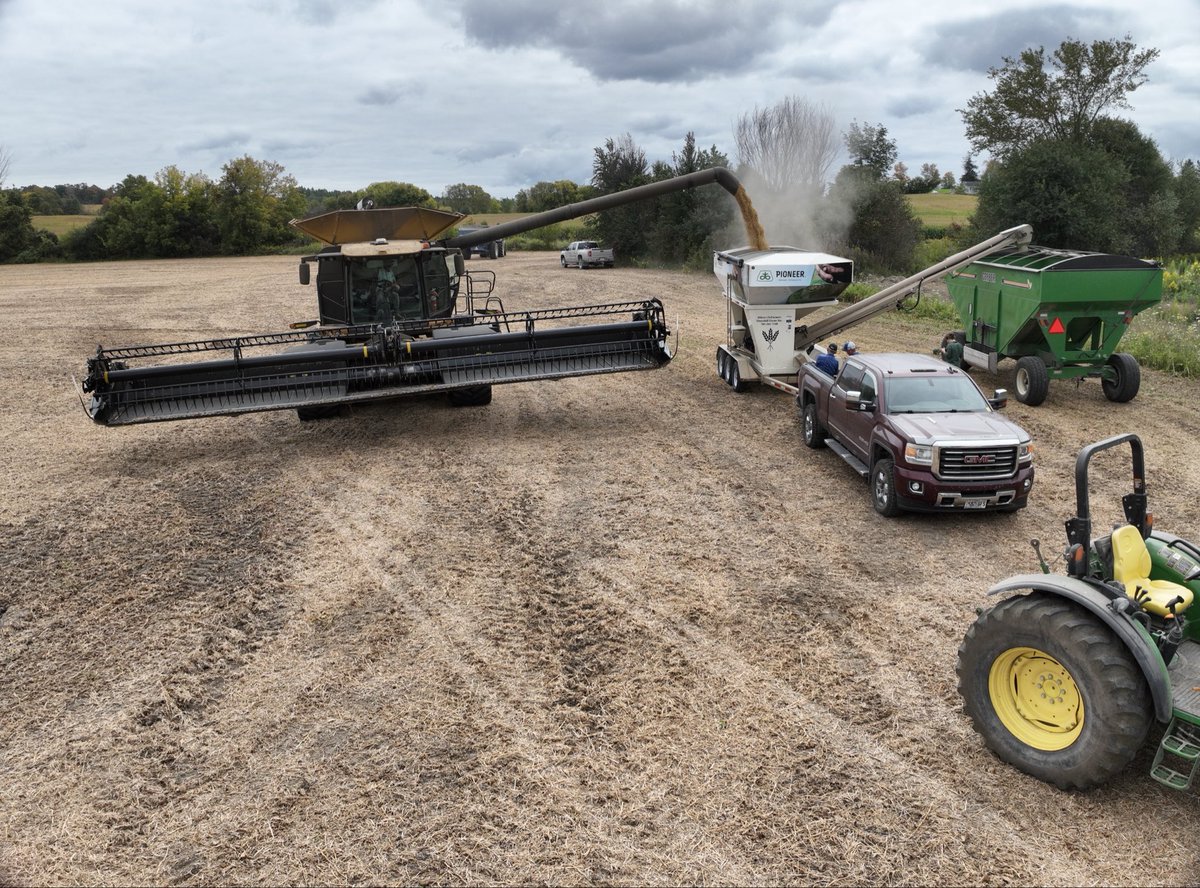 mjhickson9's tweet photo. Wow, these soybean yields north of Uxbridge were no joke today! 🤩
#yieldheroeast #pioneerseedscanada #localtesting https://t.co/xKcrD4XeeF