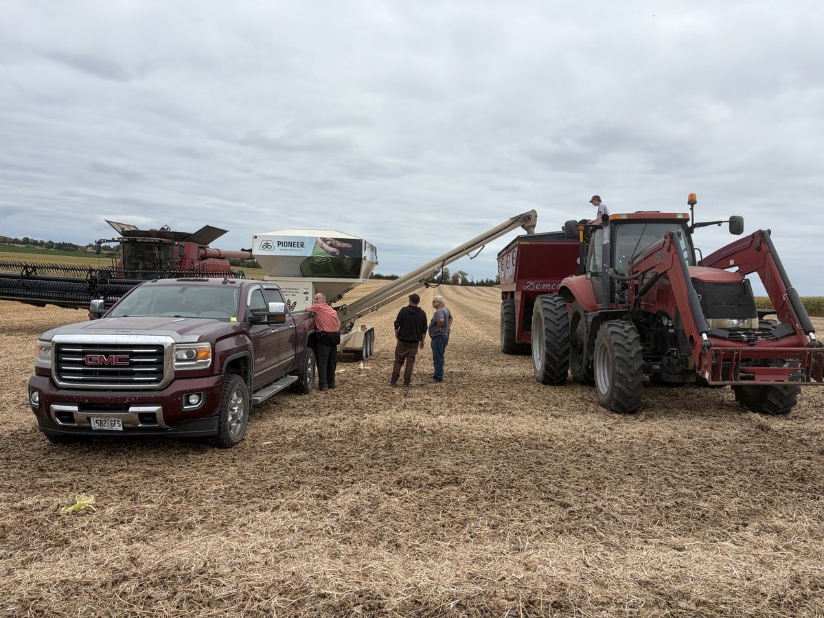 mjhickson9's tweet photo. Wow, these soybean yields north of Uxbridge were no joke today! 🤩
#yieldheroeast #pioneerseedscanada #localtesting https://t.co/xKcrD4XeeF