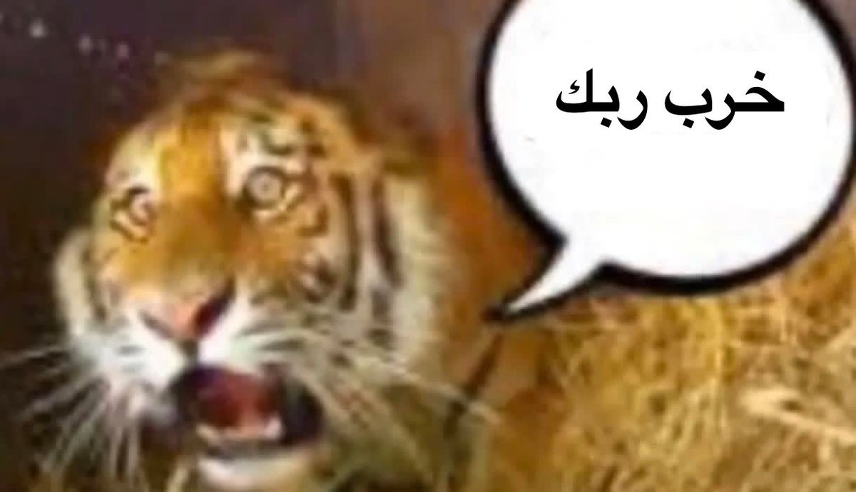 mar695437's tweet photo. @ElloszKittie صورة الصدر : https://t.co/yCTmrP4xQN