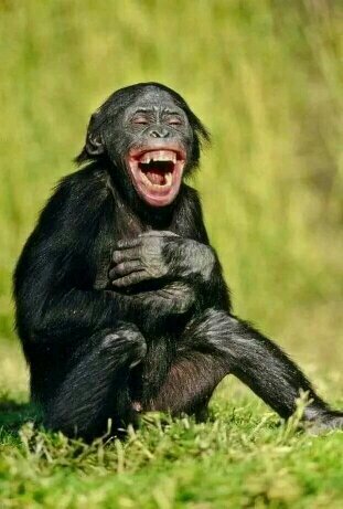gunlimela's tweet photo. @fanamokoena Breaking news, broken English fake Dr. praying 🙏 in a strip club https://t.co/F4cEyRsB2A