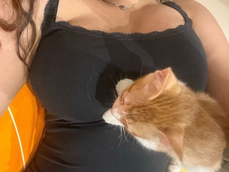 angsleyfs's tweet photo. kebangun gara garaa si menggg 🙄 https://t.co/BzlxYFmmII