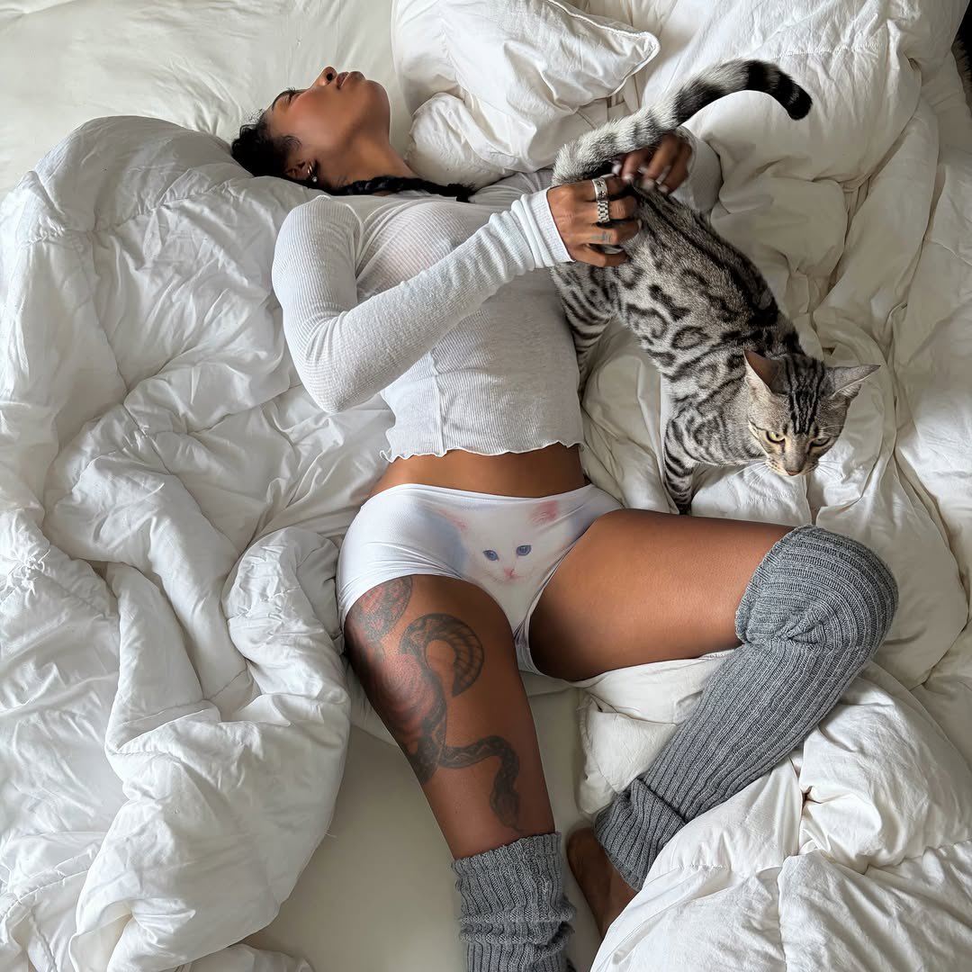 galactamelanin's tweet photo. the yeezy x mowalola effect continues. the kitty panty &amp; shorts sold out in just 90 minutes 🐱 https://t.co/jOjmWDLfu9