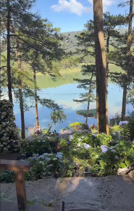 A peaceful morning view of a tranquil lake surrounded by tall pine trees, with vibrant purple hydrangeas blooming in the foreground garden, offering a serene and inspiring setting to start a new week.

The image beautifully complements the post's uplifting message—much like the calm lake and blossoming flowers symbolize steady growth and quiet progress, the sender encourages everyone to embrace the new week with patience and positivity, letting success bloom naturally over time.