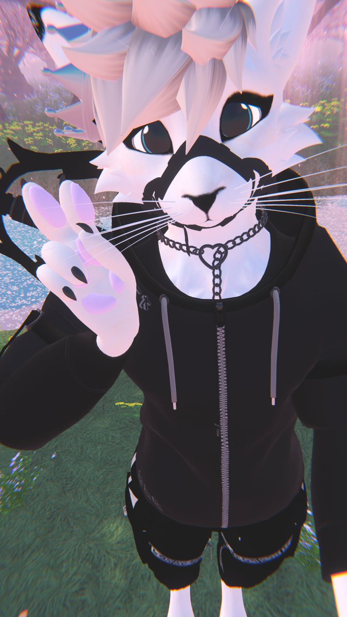 LiokeyFox's tweet photo. How was your day? ❤️ https://t.co/rY0QGlhTI6