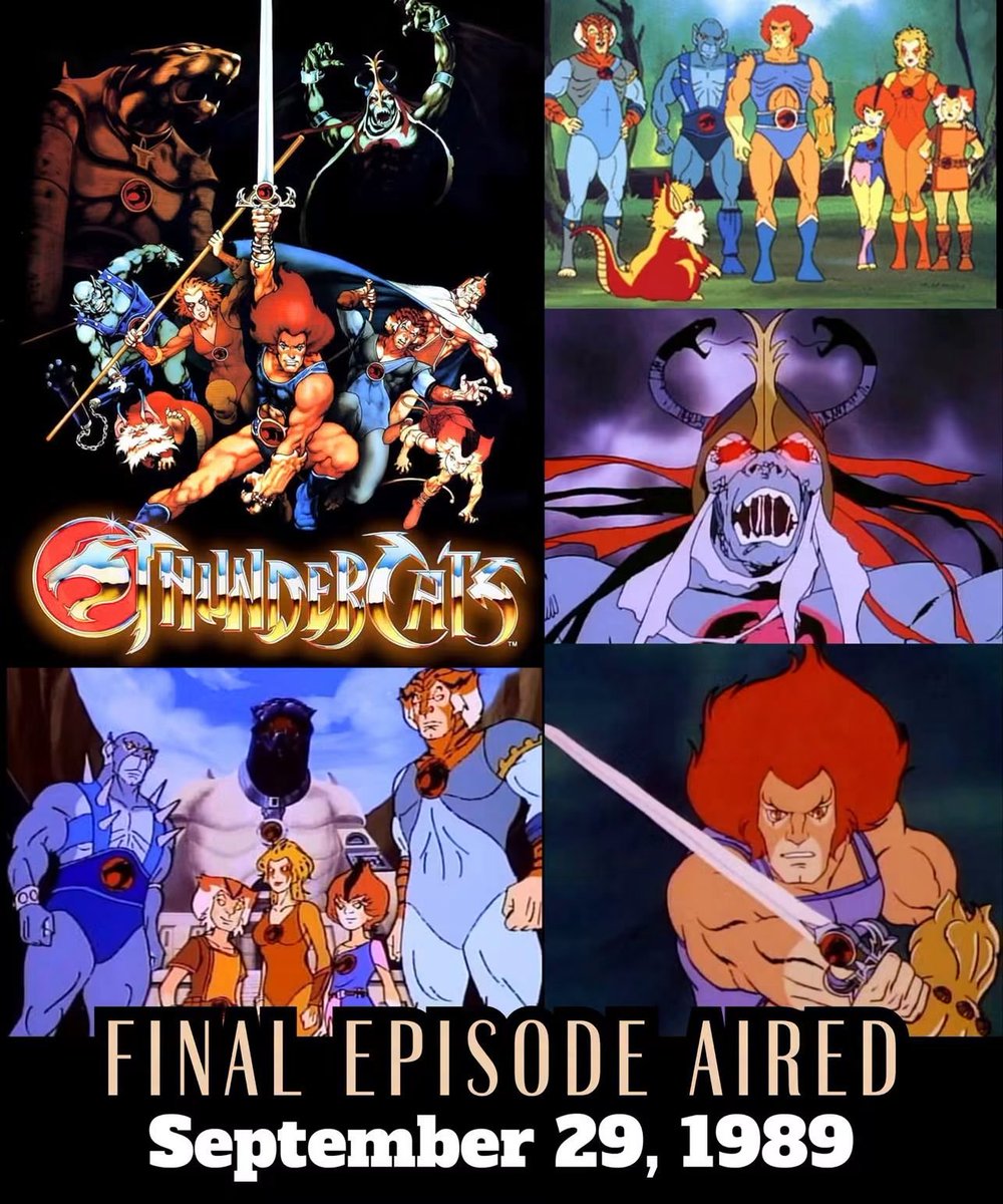 comicbookaddt's tweet photo. On September 29, 1989 - the Final Episode of “Thundercats” aired
#80s #80scartoons #thundercats https://t.co/fAhjMjYDjW