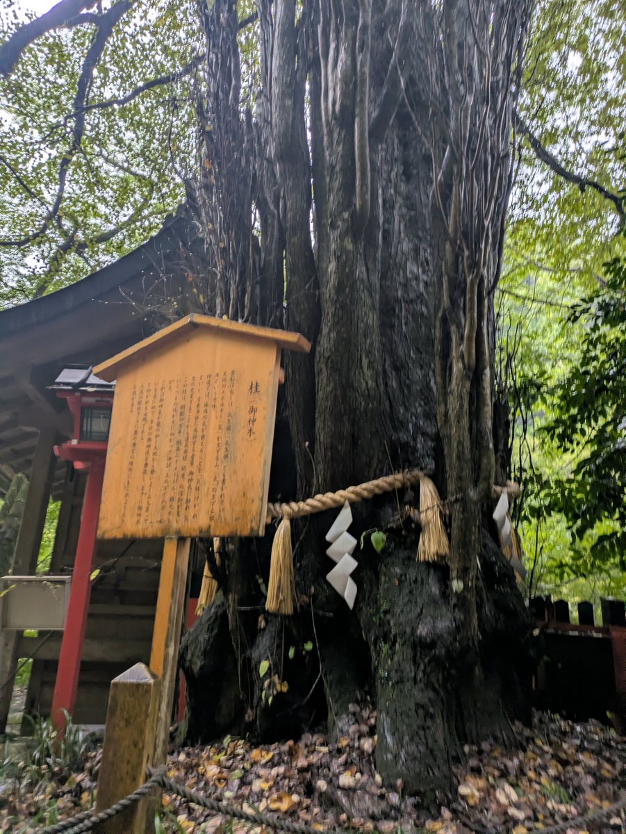 osushinoo's tweet photo. 貴船神社、雨すごかったけど三社参りもできた🧚🏻‍♀️ https://t.co/rtm1zdMqzQ