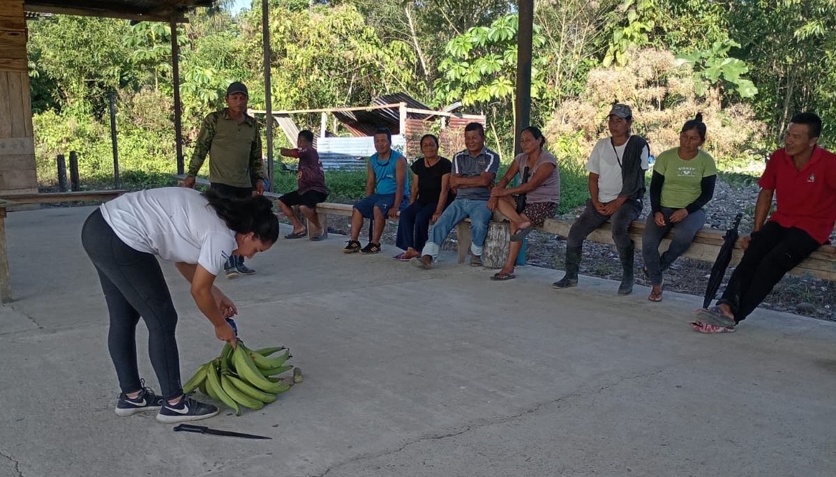 Agricultura_CZ2's tweet photo. ¡Bienes y servicios institucionales llegan al campo de #Napo! 

20 productores de Chonta Punta, Tena, conocieron alternativas de apoyo para fortalecer su producción.

Además, acercamos a productores de plátano con la empresa privada para impulsar oportunidades comerciales. https://t.co/XamWTYiKrb