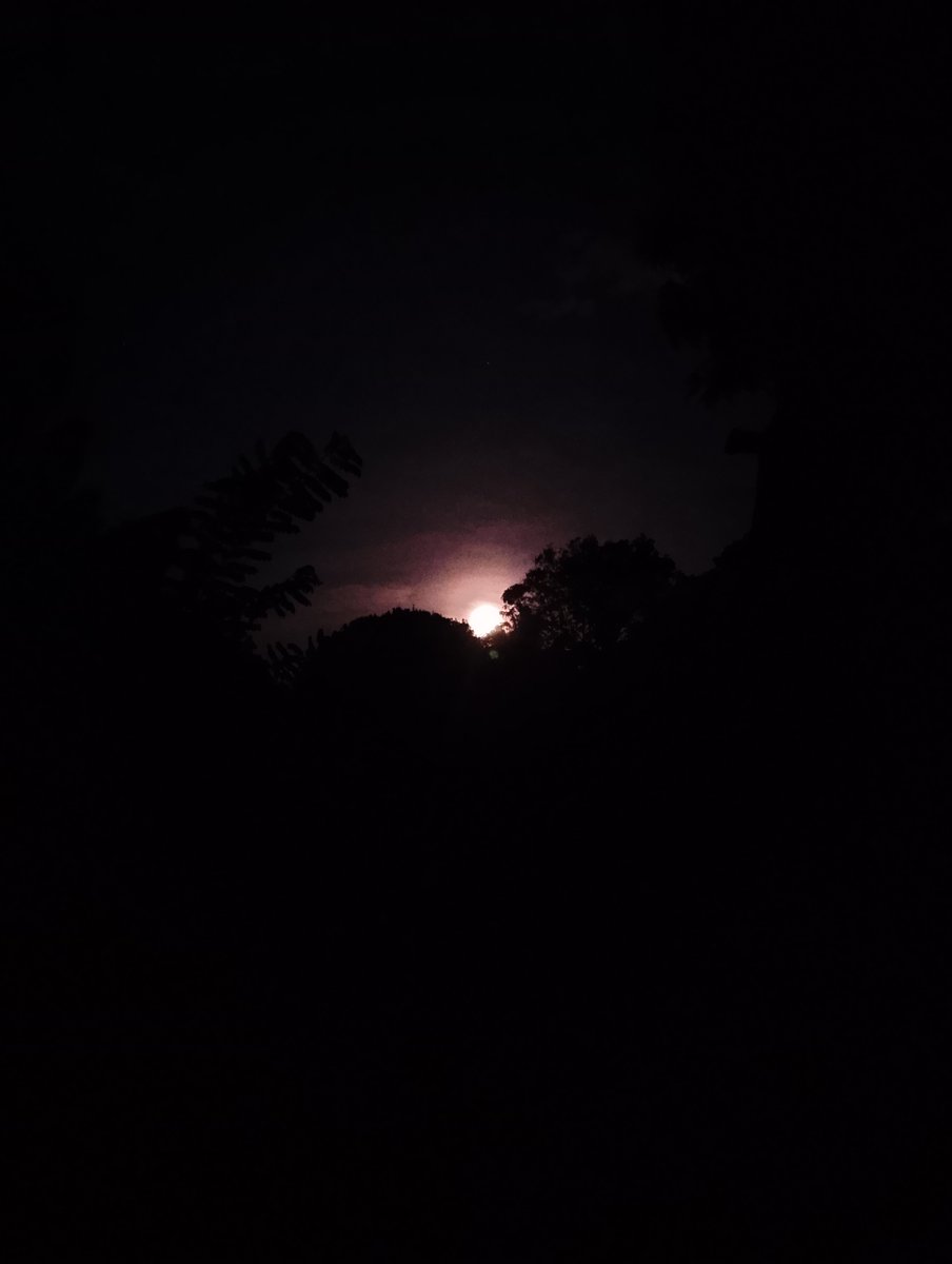 leones010's tweet photo. Cuando la electricidad no opaca el brillo de la luna. https://t.co/dbq4Isd2Y6