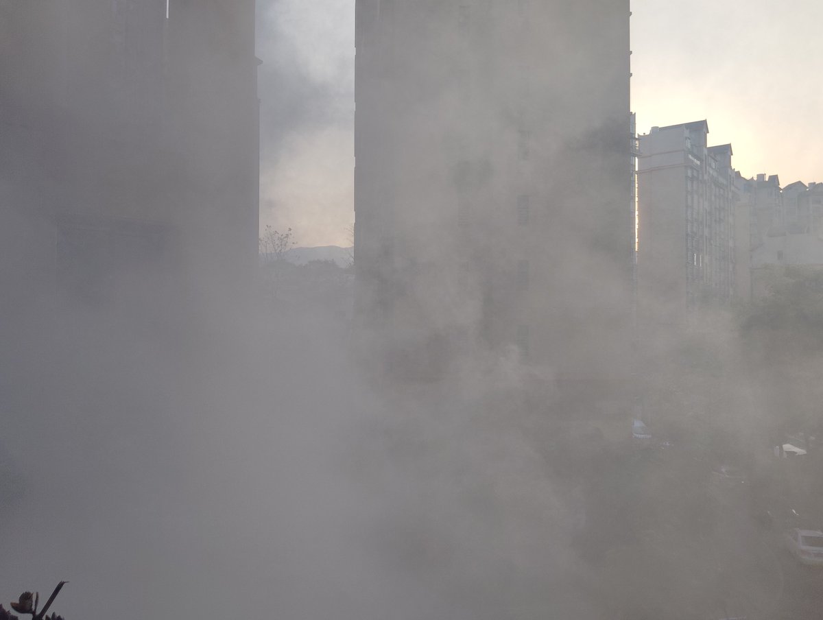 jiihyeon1's tweet photo. Today we spotted camphor trees under a tannery’s smoky exhaust—camphor, tannin, soot, smoke, all blending in the air! https://t.co/ldYNhkD8AE